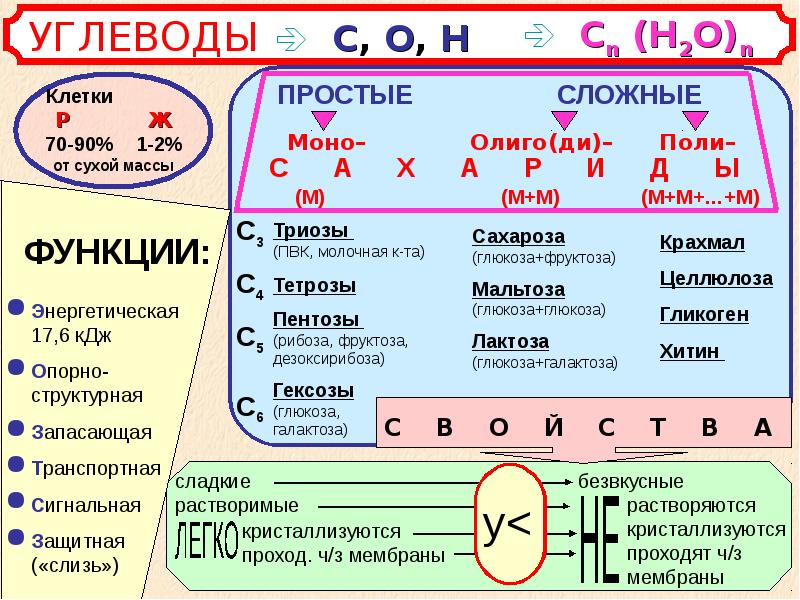 Липиды их строение и функции 10 класс презентация пасечник