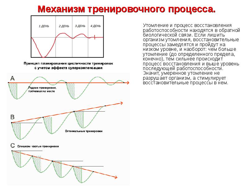 Утомления и восстановления организма. Утомление и процессы восстановления. Процесс восстановления работоспособности. Процесс восстановления утомления организма. Процесс восстановления после утомления.