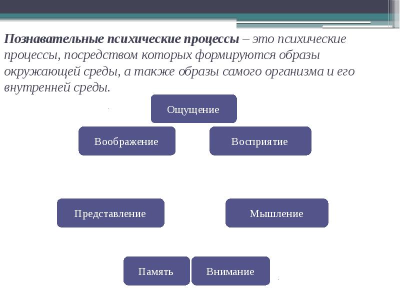 Психические познавательные процессы презентация