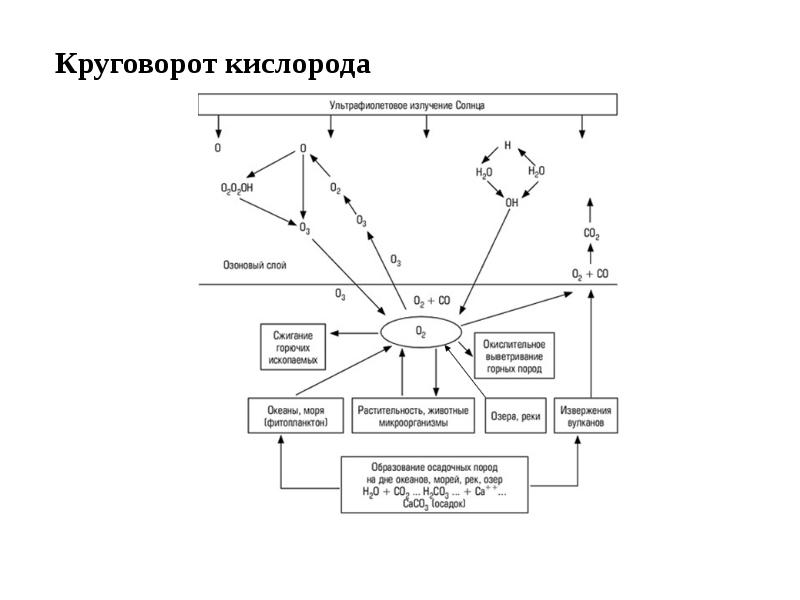 Круговорот кислорода