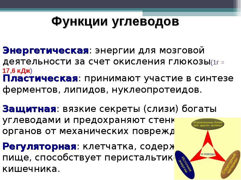 Строение и функции вещества