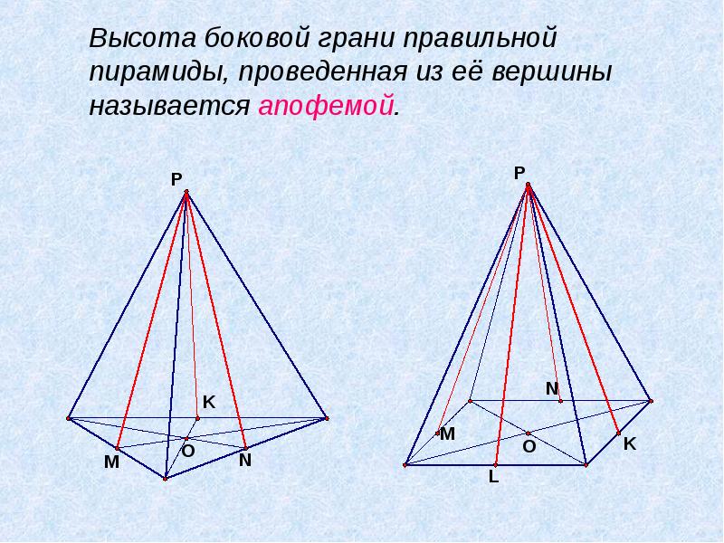 Высота боковой грани правильной пирамиды, проведенная из её вершины называется апофемой.
