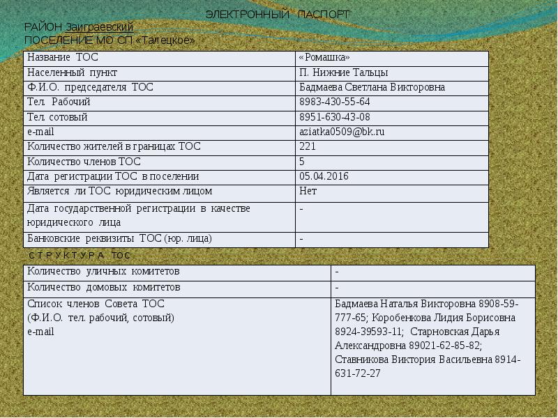 Паспорт округа на выборах образец