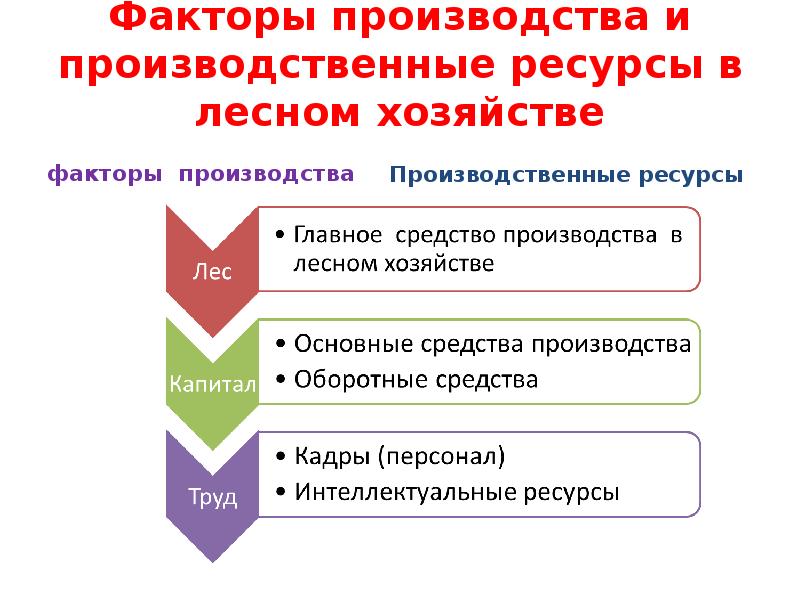 Факторы хозяйства. Лесные ресурсы факторы производства. Производственные ресурсы Fox.