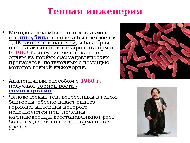 Получение ген. Методы генной инженерии. Методики генной инженерии. Генетическая инженерия микроорганизмов. ДНК кишечной палочки.