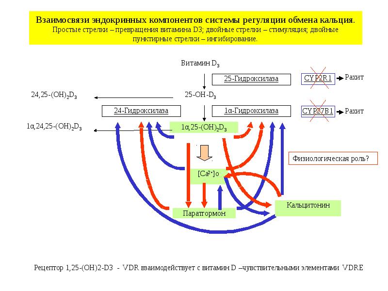 Какой гормон регулирует водный обмен. Регуляция водно-солевого обмена в организме. Схема регуляции водно солевого обмена в организме. Водно-солевой обмен биохимия. Регуляция водно-солевого обмена биохимия.