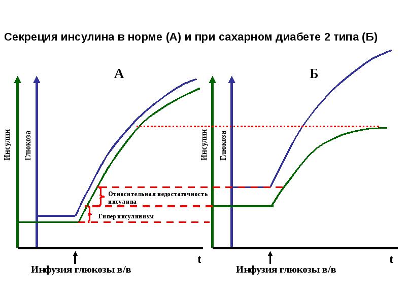 Инсулин при нормальном сахаре