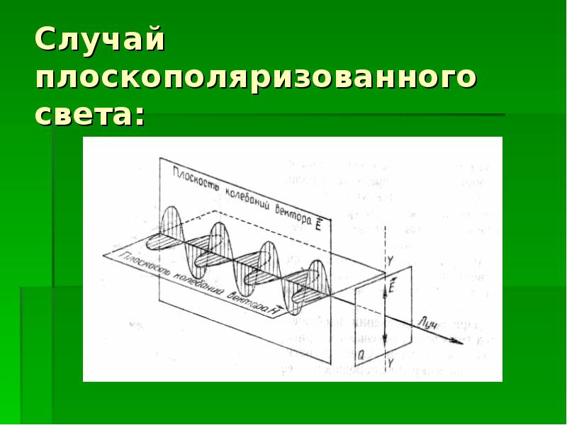 Проекционная картина поляризованного света