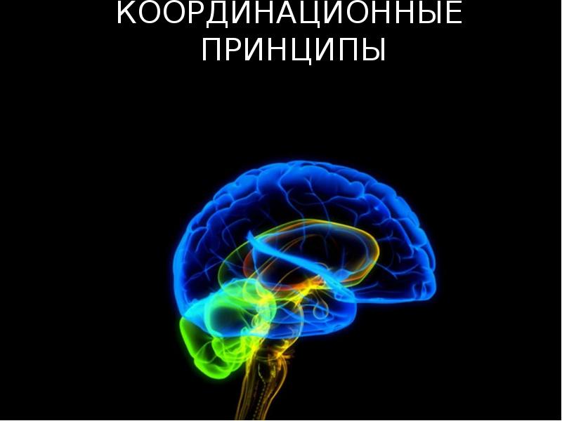 ТОРМОЖЕНИЕ в ЦНС, КООРДИНАЦИОННЫЕ ПРИНЦИПЫ