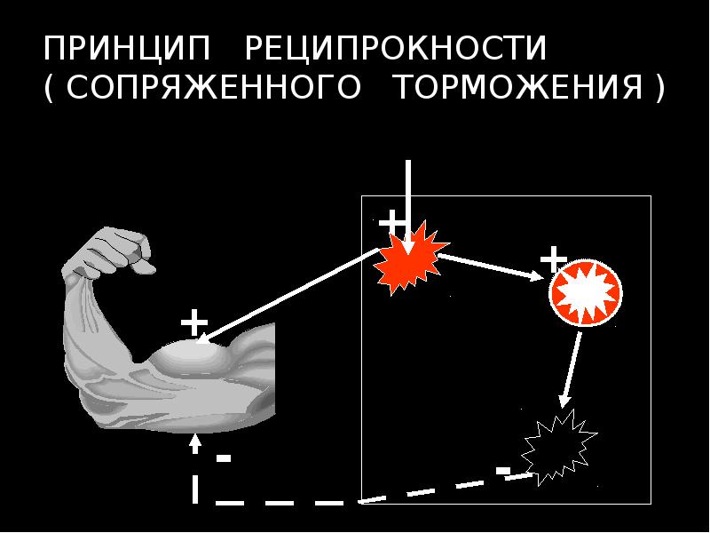 ПРИНЦИП  РЕЦИПРОКНОСТИ ( СОПРЯЖЕННОГО  ТОРМОЖЕНИЯ )