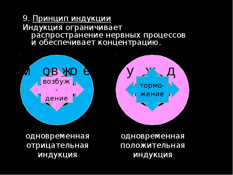 9. Принцип индукции 9. Принцип индукции Индукция ограничивает распространение нервных процессов