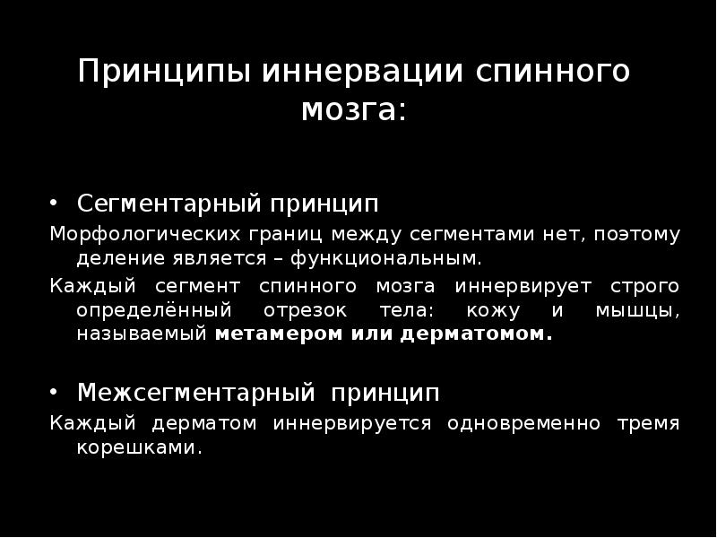 Принципы иннервации спинного мозга: Сегментарный принцип  Морфологических границ между сегментами