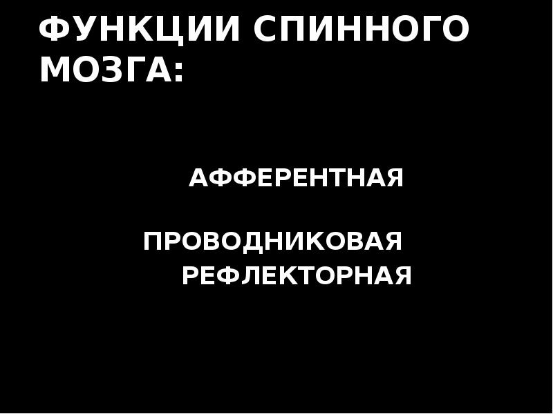 ФУНКЦИИ СПИННОГО МОЗГА:        