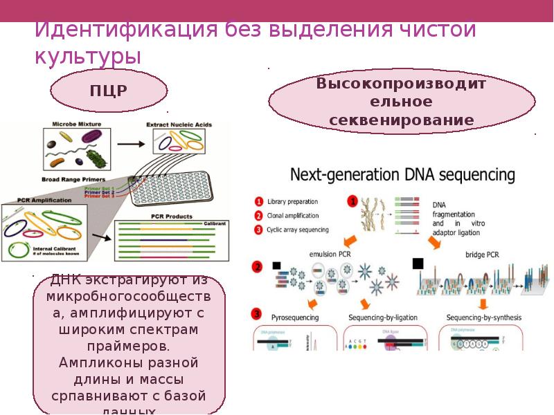 Секвенирование москва. ПЦР секвенирование. Секвенирование и ПЦР методы. Секвенирование ДНК ПЦР. NGS секвенирование.