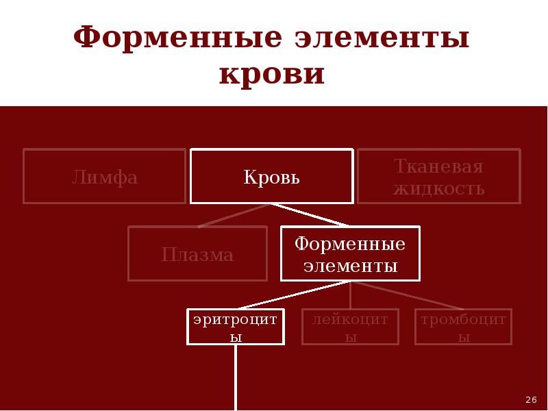 Факторы внешней и внутренней среды организма