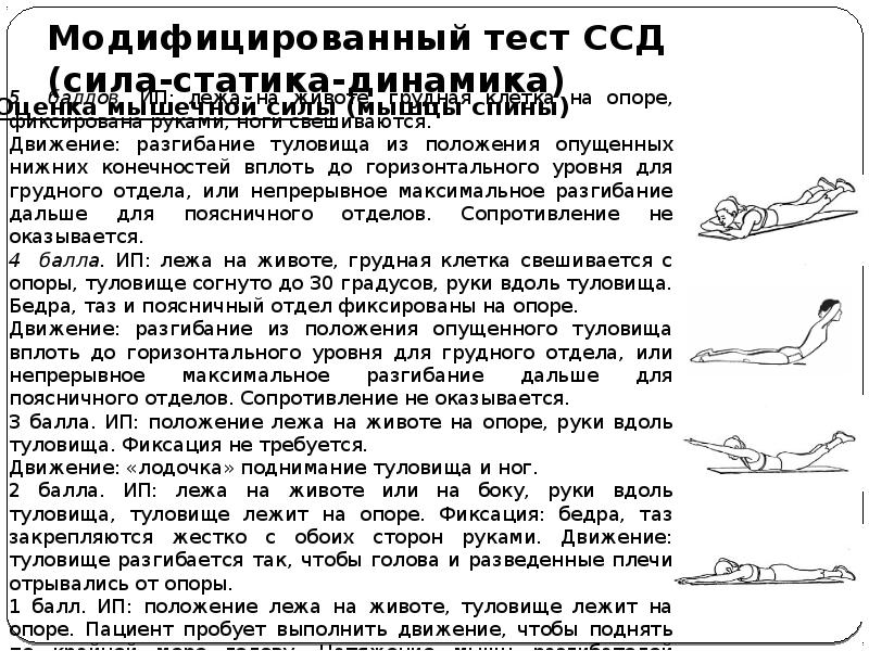 Тест на силу. Оценка силы мышц позвоночника. Оценка силы мышц спины. Тест на силу мышц спины. Тест для определения силы мышц спины.