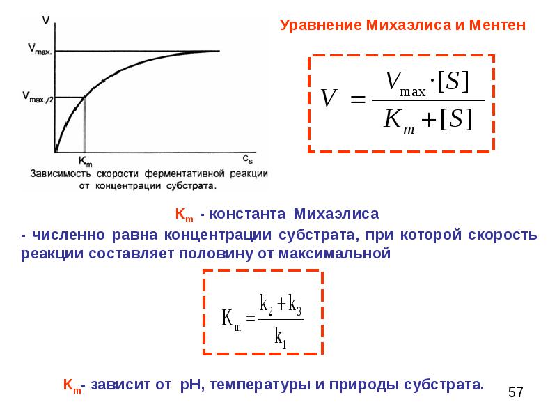 Схема михаэлиса ментен