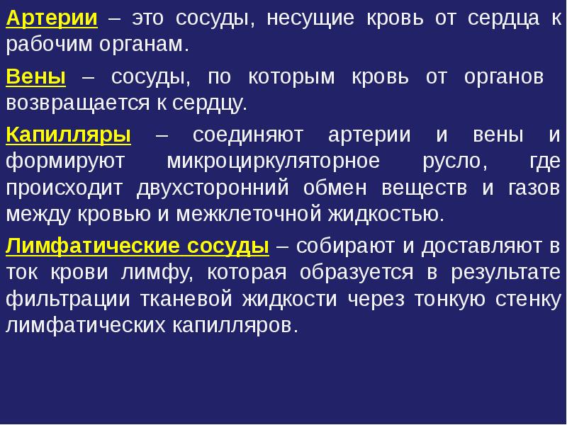 Реферат: Общий план строения стенки сосуда