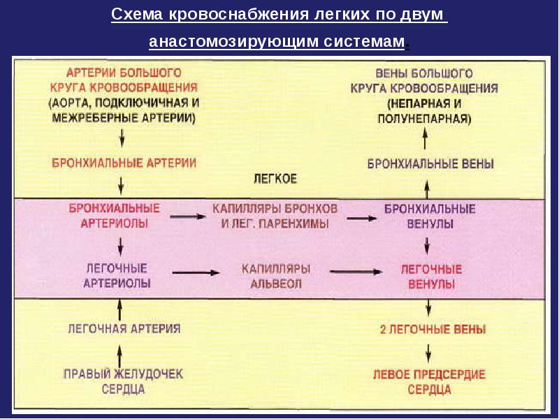 Схема нарушения кровообращения