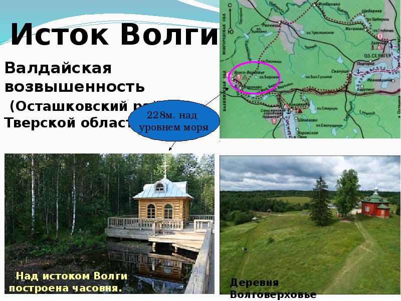 Где исток. Исток Волги Тверская область на карте. Валдайская возвышенность Исток Волги на карте рек. Исток Волги на карте Тверской области. Исток Волги Селигер на карте.