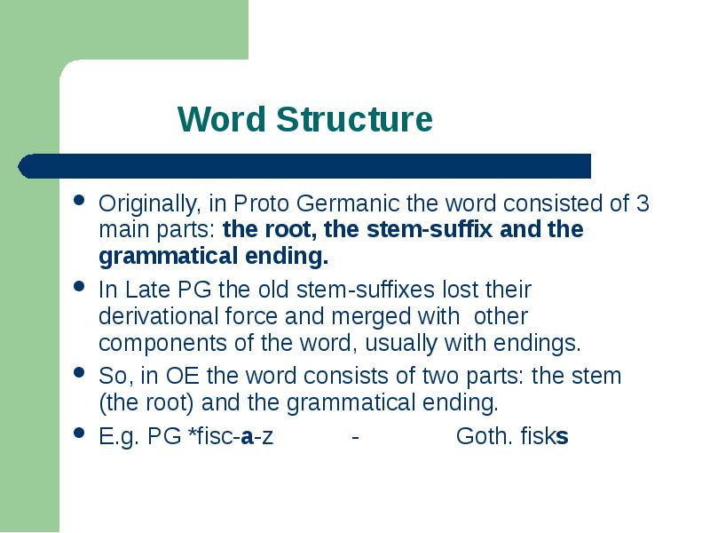 Word structure