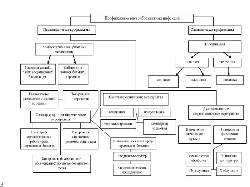 Виды инфекции схема