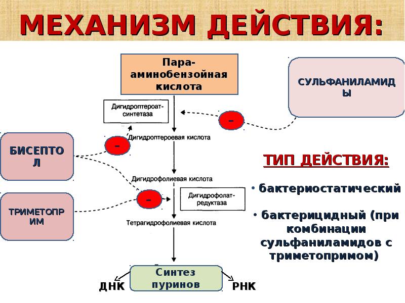 Бутамират механизм действия. Сульфаниламиды механизм действия. Механизм действия сульфаниламидных препаратов. Механизм действия будесонида. Комбинации сульфаниламидов.