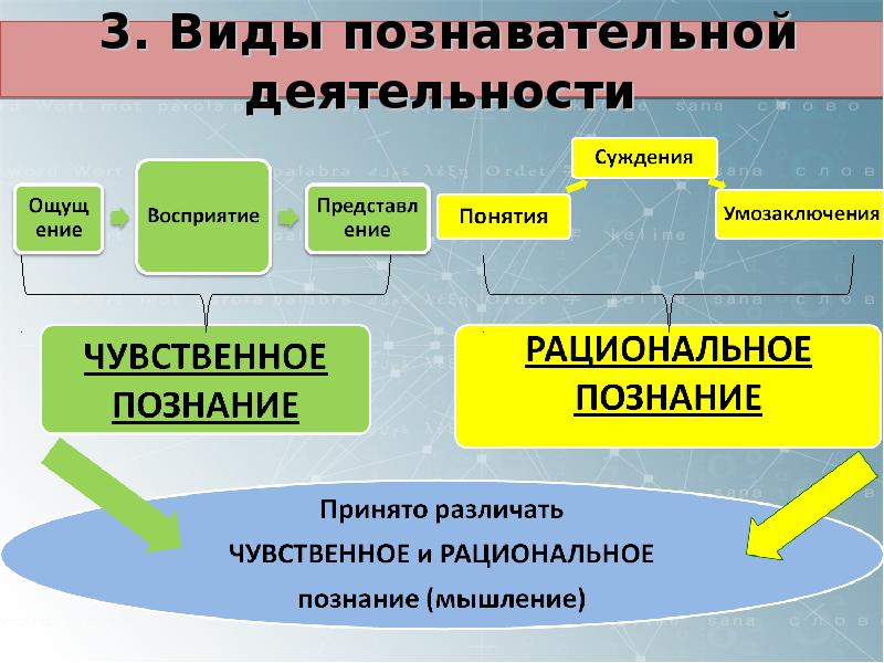 Что значит тип проекта