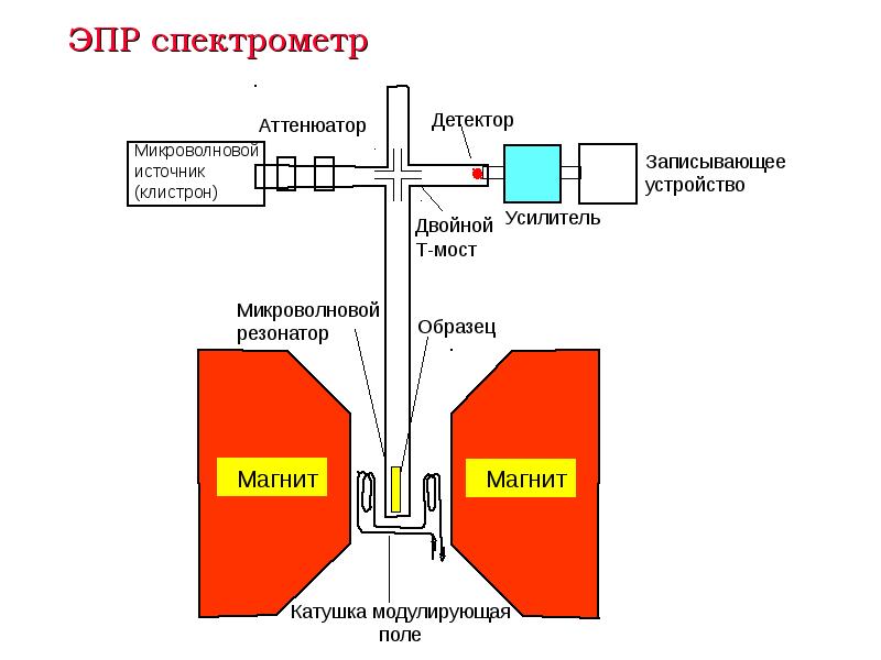 Электронно парамагнитный резонанс презентация