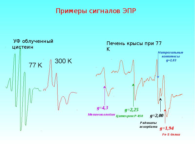 Электронно парамагнитный резонанс презентация