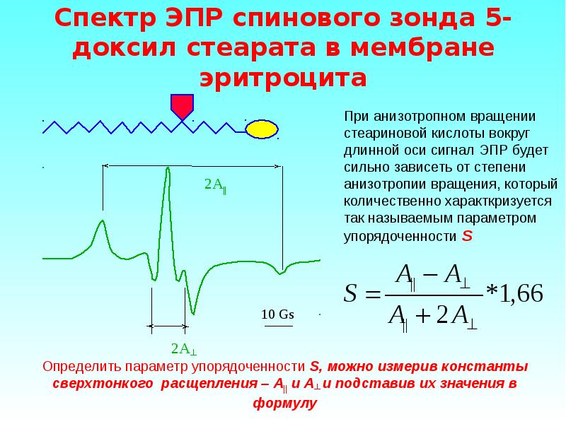 Электронный парамагнитный резонанс презентация