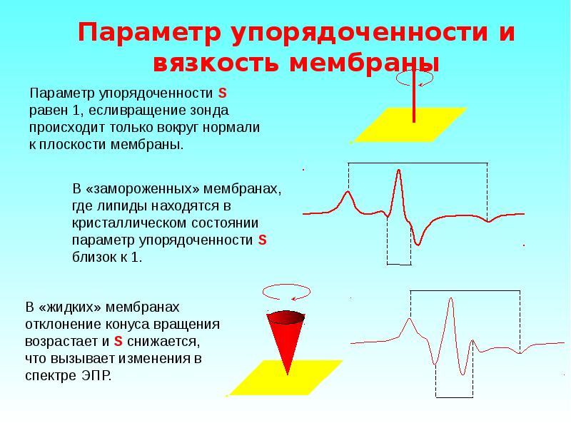 Электронно парамагнитный резонанс презентация