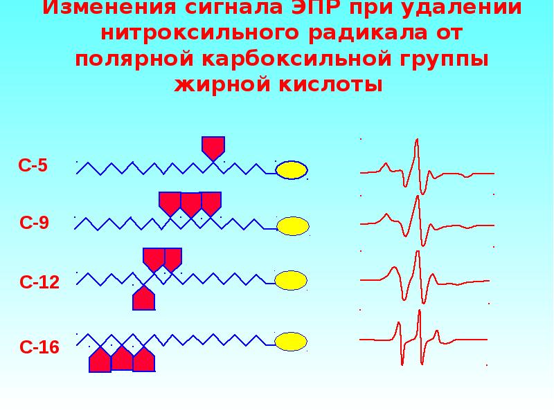 Электронно парамагнитный резонанс презентация