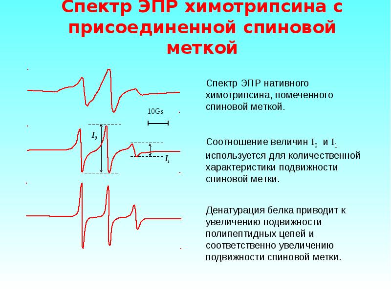 Электронно парамагнитный резонанс презентация