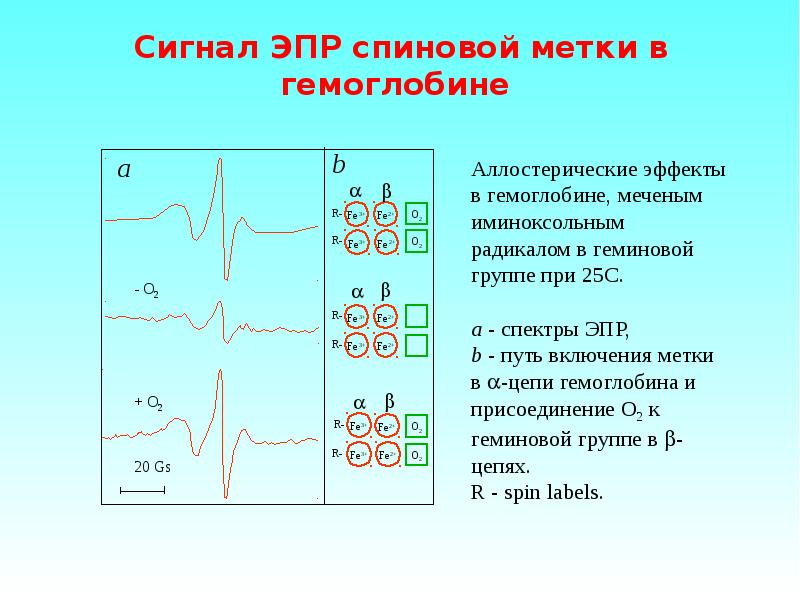 Электронно парамагнитный резонанс презентация