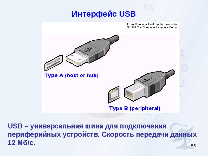 К каким интерфейсам пк относятся разъемы представленные на этих рисунках