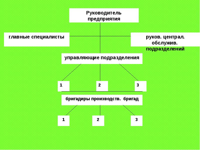 Что изображено на рисунке какие структуры обозначены назови их функции