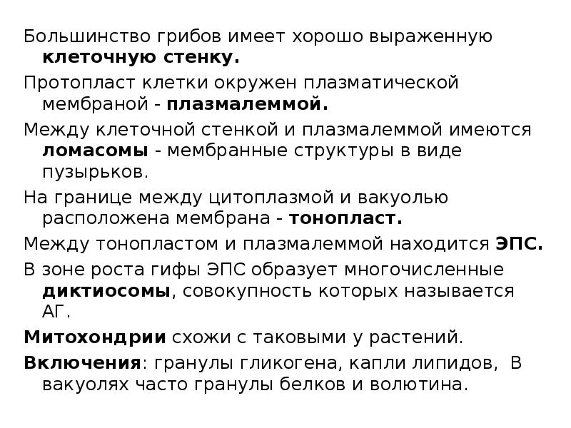 Большинство грибов имеет хорошо выраженную клеточную стенку. Большинство грибов имеет хорошо