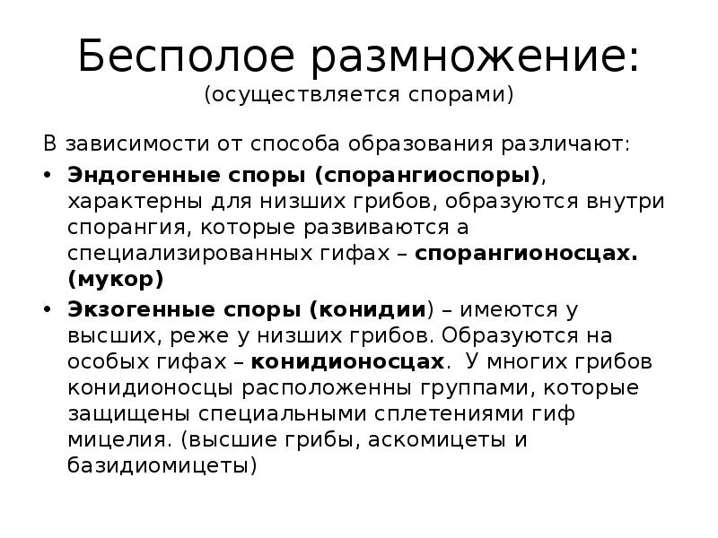 Размножение осуществляется. Эндогенные и экзогенные споры грибов. Эндогенные споры грибов. Экзогенные споры грибов. Эндогенный и экзогенный способы образования спор.