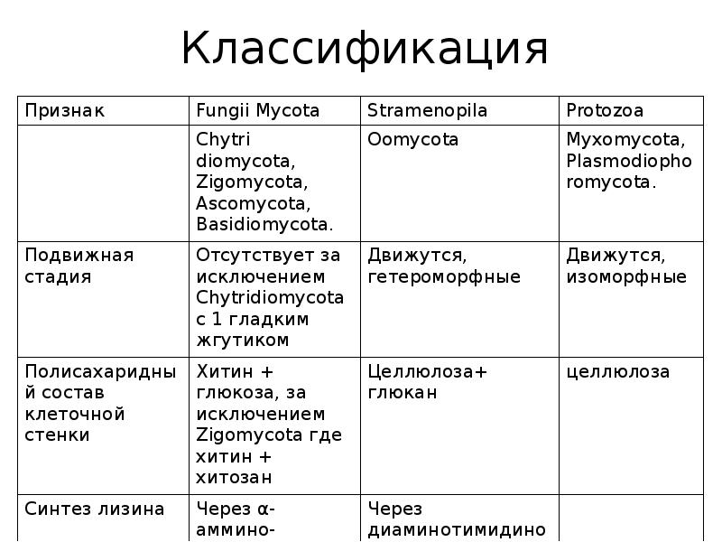 Классификация