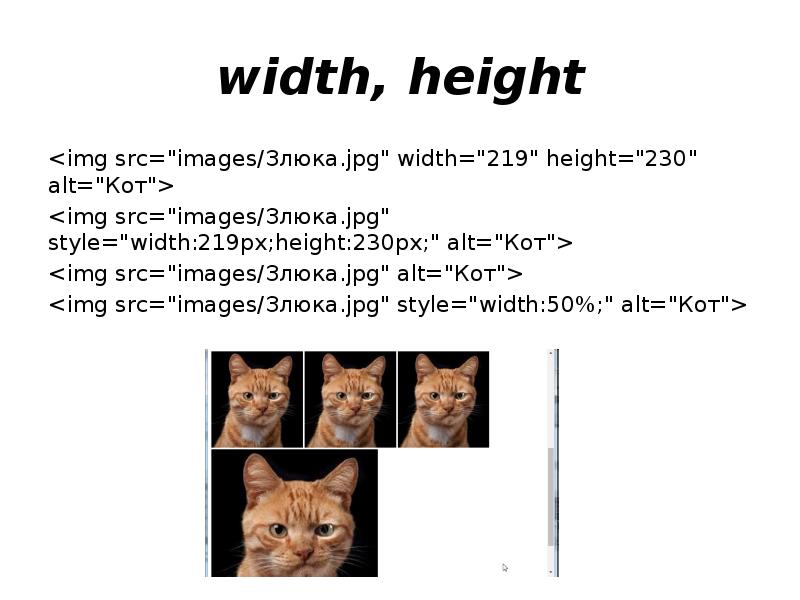 Img src height width alt. Линкос язык. Кот Альт. Доклад на тему язык Линкос. Линкос язык пример.