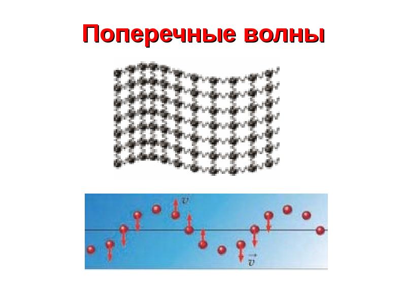 На рисунке показан моментальный снимок участка резинового шнура по которому бежит поперечная волна