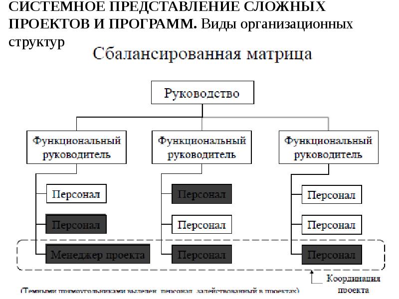 СИСТЕМНОЕ ПРЕДСТАВЛЕНИЕ СЛОЖНЫХ ПРОЕКТОВ И ПРОГРАММ. Виды организационных структур