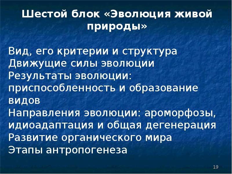 Биологическая эволюция егэ. Ароморфоз идиоадаптация дегенерация. Система многообразие и Эволюция живой природы.