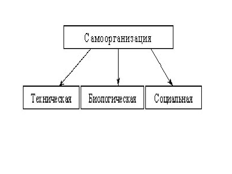 Самоорганизация в природе и обществе. Виды самоорганизации. Техническая самоорганизация. Структура процесса самоорганизации. Социальная самоорганизация.