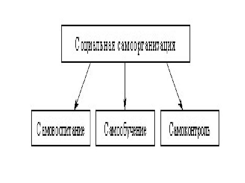 Информационное обеспечение профессиональной деятельности дизайн