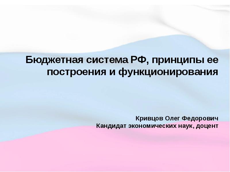 Презентация бюджетные учреждения