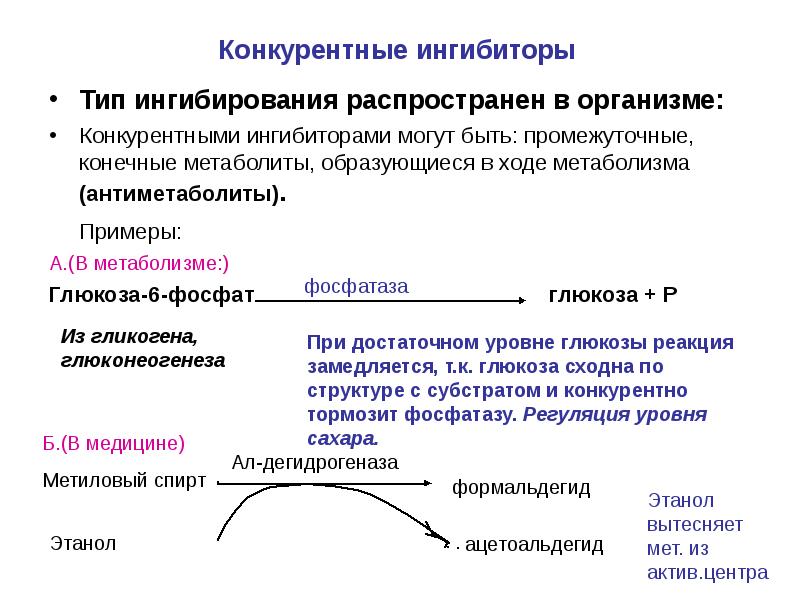 Ферментативные реакции презентация