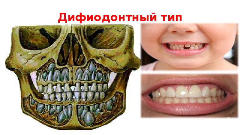 Проект молочные зубы