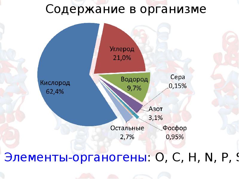 Углерод в организме человека презентация